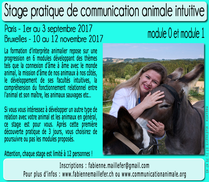 Stage pratique de communication animale intuitive - Nouvelles dates