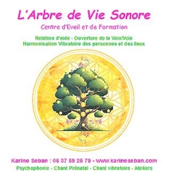 Karine Seban, Energéticienne et pédagogue de la Voix/Voie