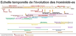 Réhabilitons notre cousin, notre frère Néanderthal