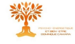 Thérapies et formations en Psycho-énergétique