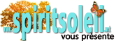 spiritsoleil le site internet qui crée du lien entre les praticiens/thérapeutes et le public