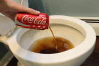 spiritsoleil coca colas la face cachee WC