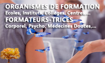 spirisoileil : Prestations pour les organismes de formation et les formateurs